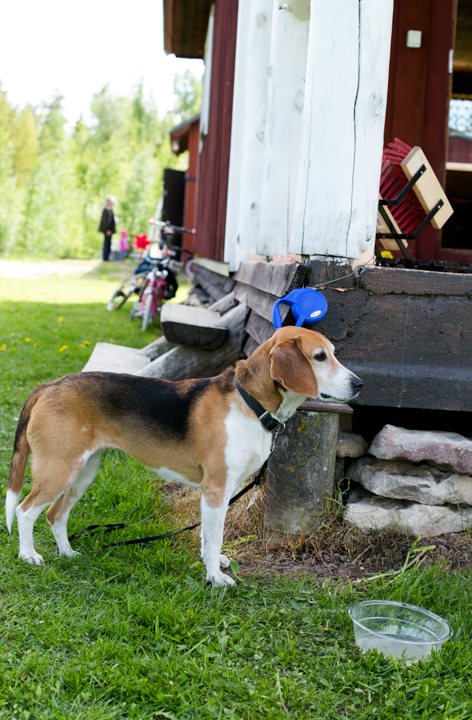 judohooajalõpp
