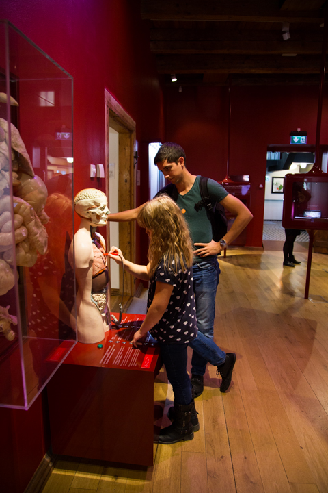 muuseum