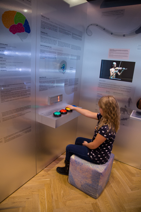 muuseum