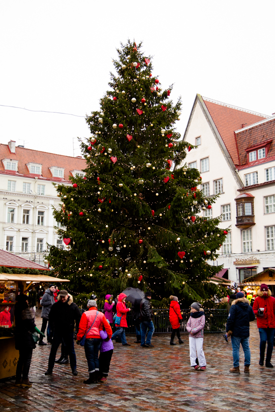 kuusk