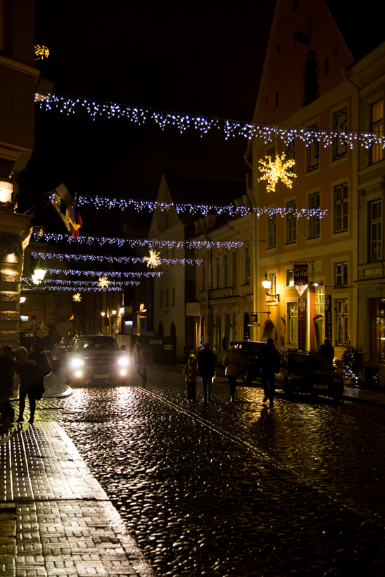 kuusk