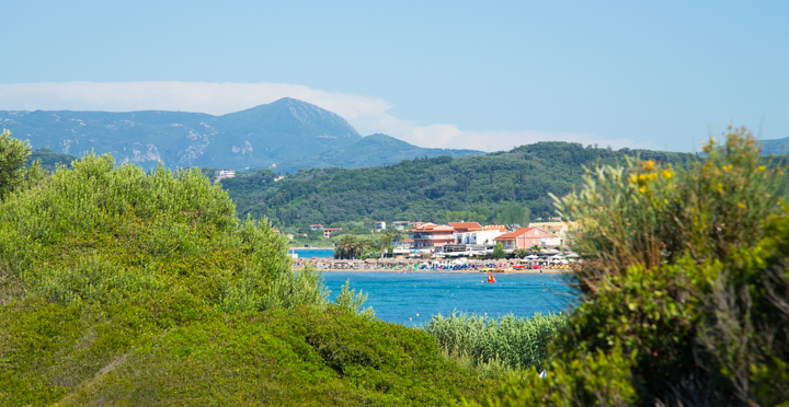 arillas