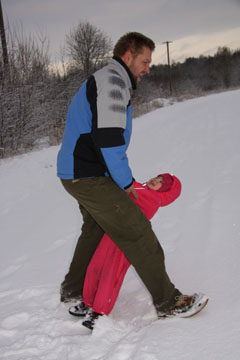 talvemöll