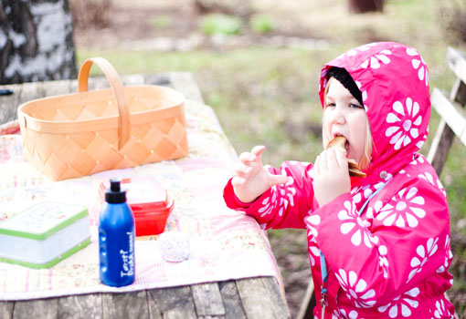 piknik