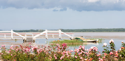 pitsipäev