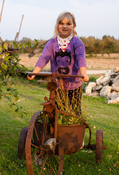 Puravikul